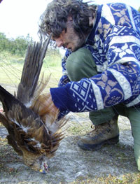 Dr. Fabrizio Sergio